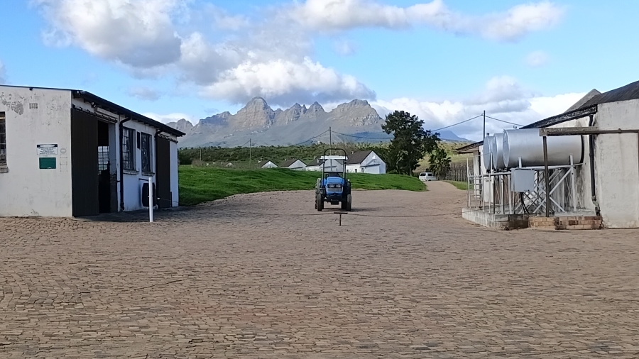 5 Bedroom Property for Sale in Stellenbosch Farms Western Cape